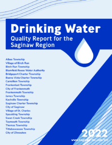 Saginaw Water Quality 2022